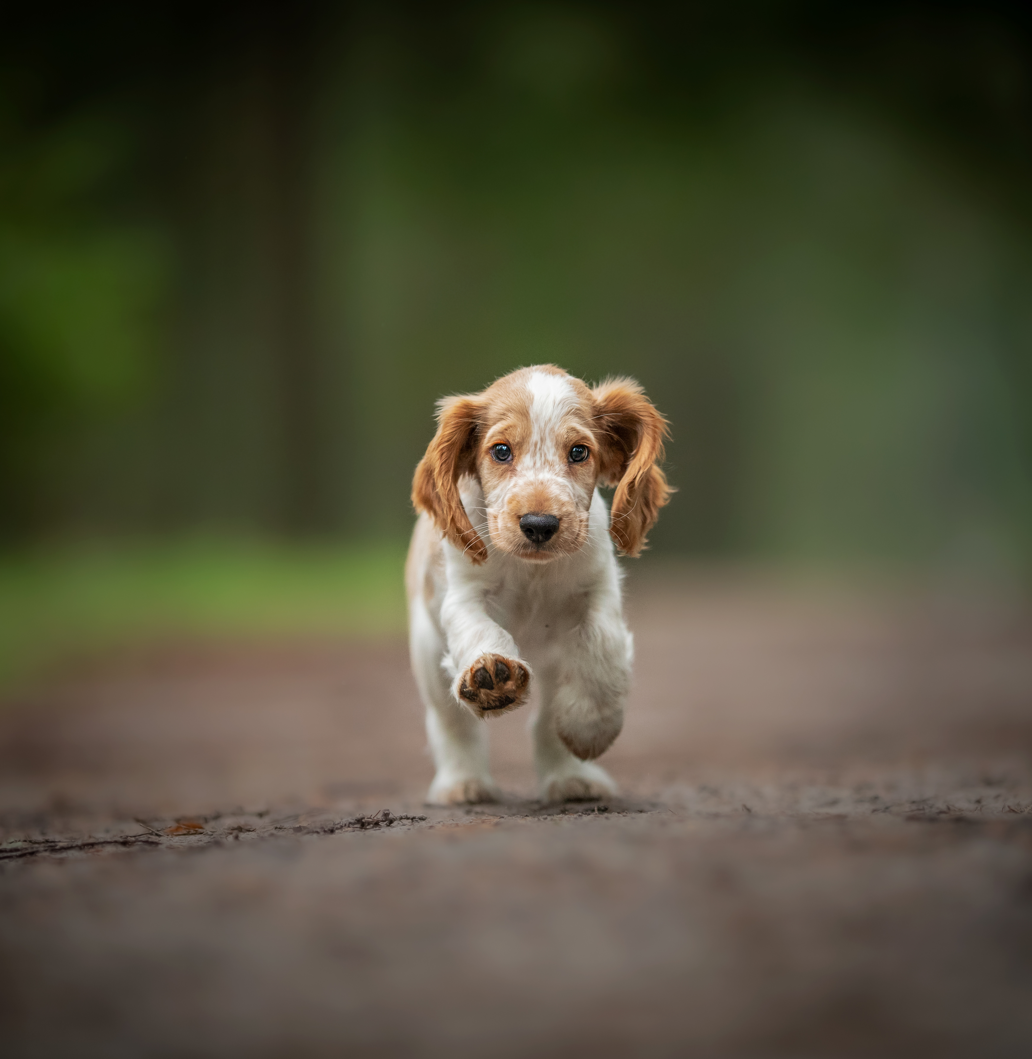 running-into-the-weekend