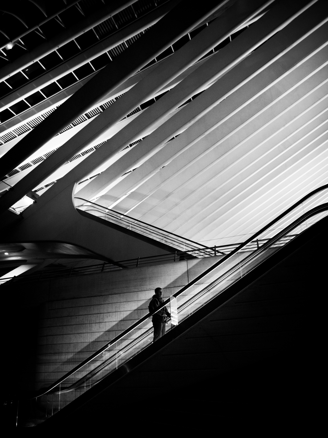 ascending-to-the-light