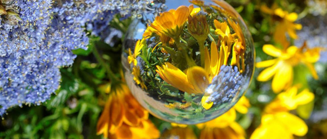 leer-alles-over-glazen-bolfotografie-door-rob-doolaard