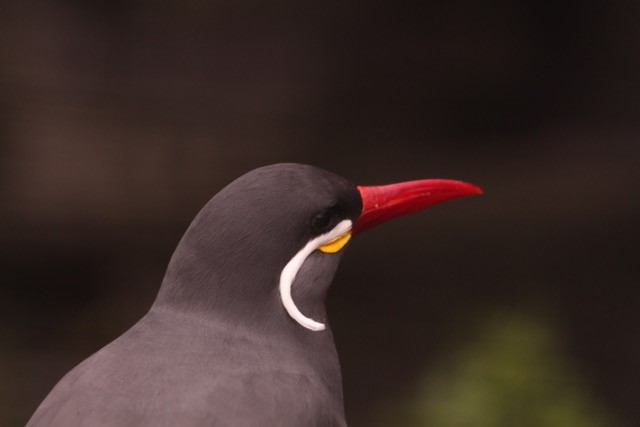 vind-je-mij-niet-mooi