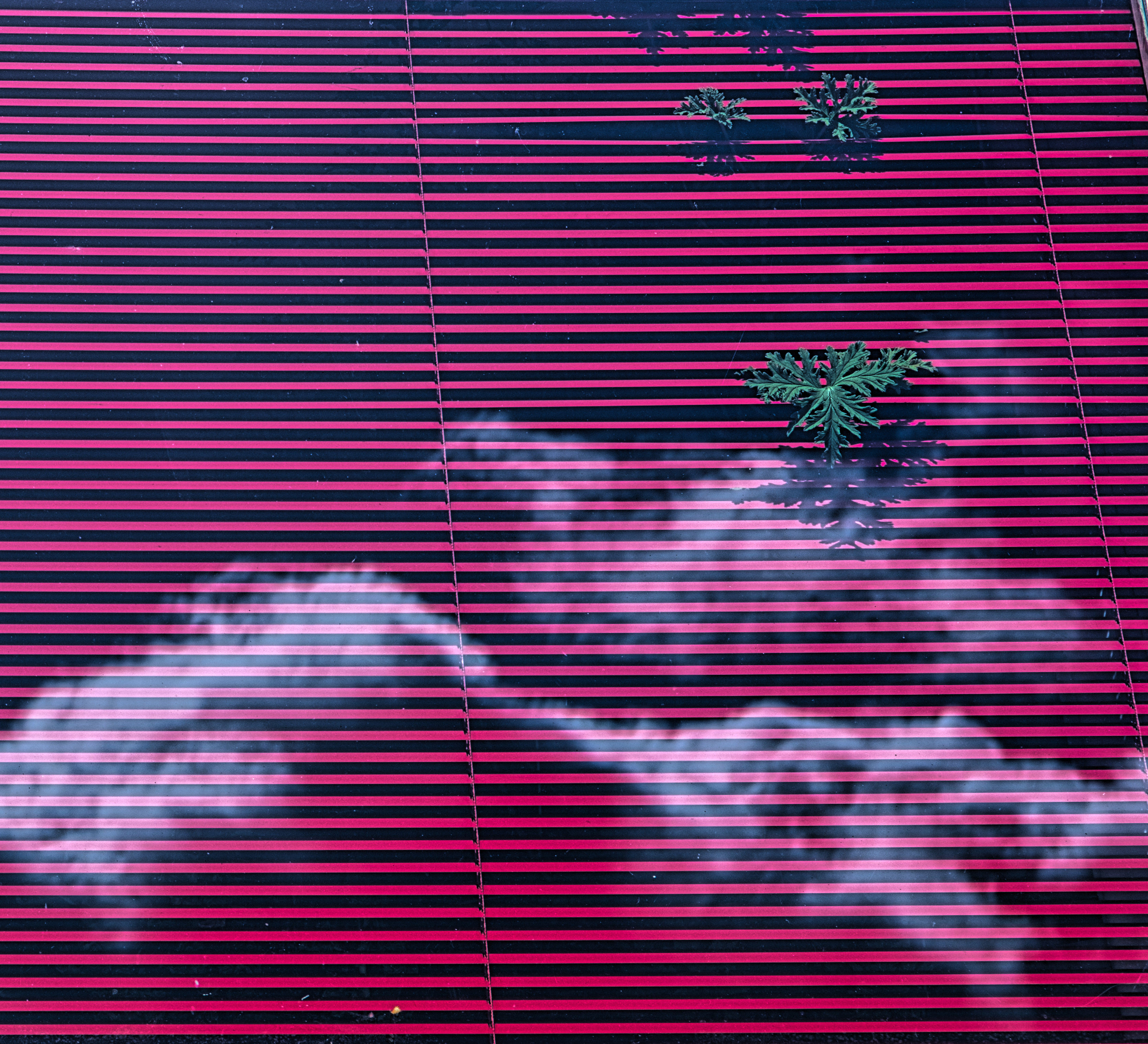 kijkend-vanuit-de-achterkant-van-het-huis-naar-de-1ste-verdieping-ik