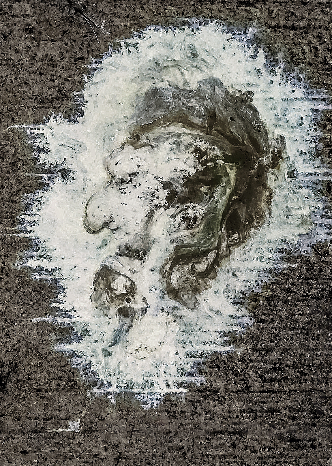 uitwerpselen-van-een-vogel