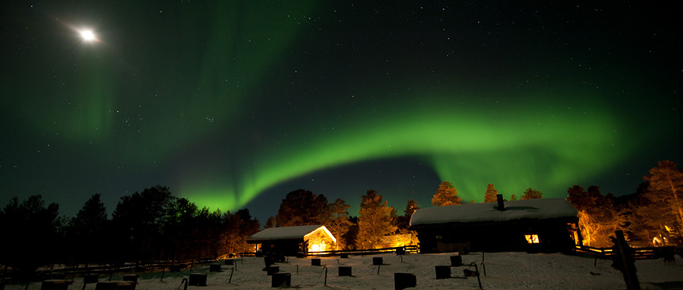 winter-in-noors-lapland-van-noorderlicht-tot-walvissafari