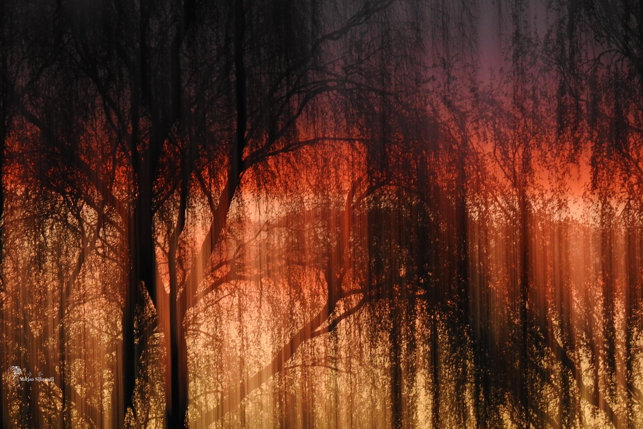 zonsondergang-met-beweging-van-de-camera