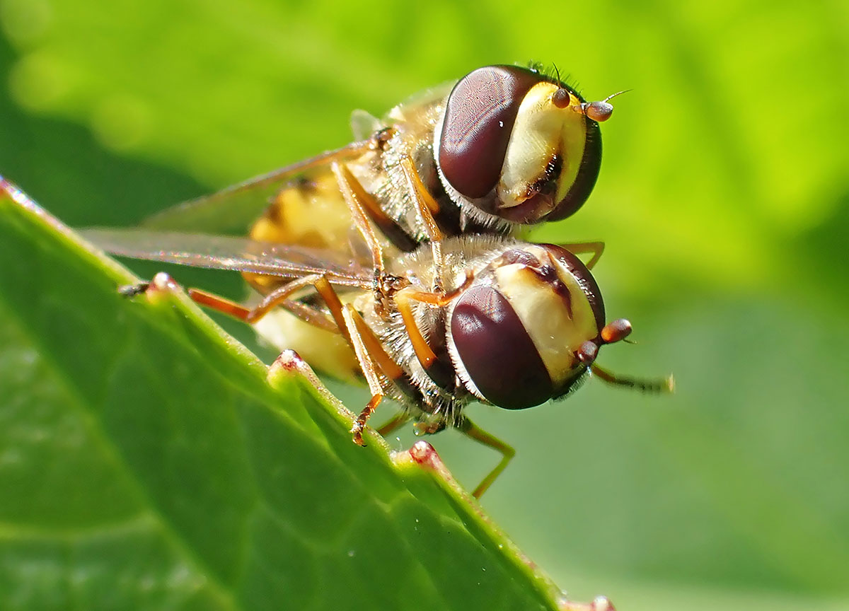 gezellig-bij-elkaar-0