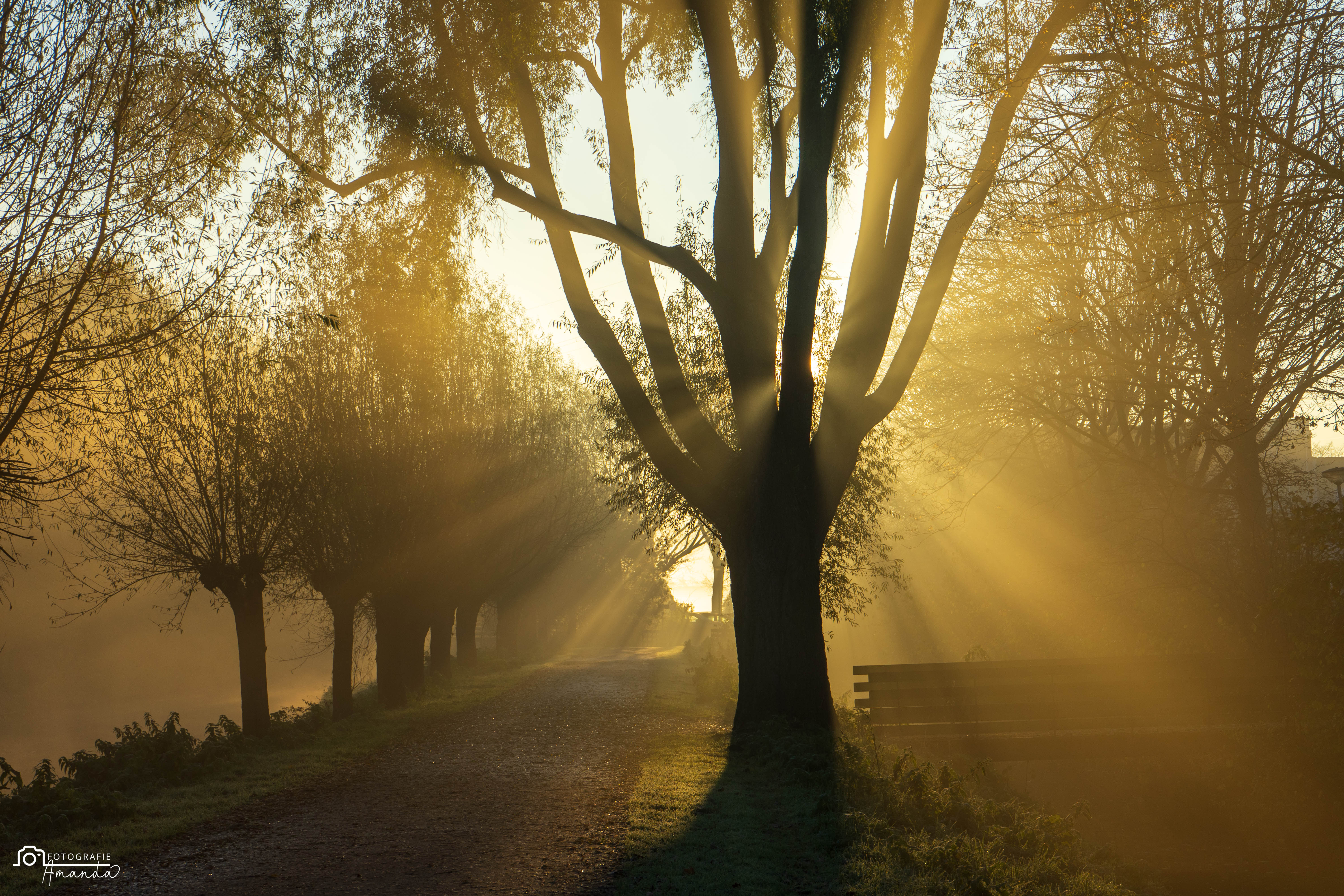 magische-zonsopkomst