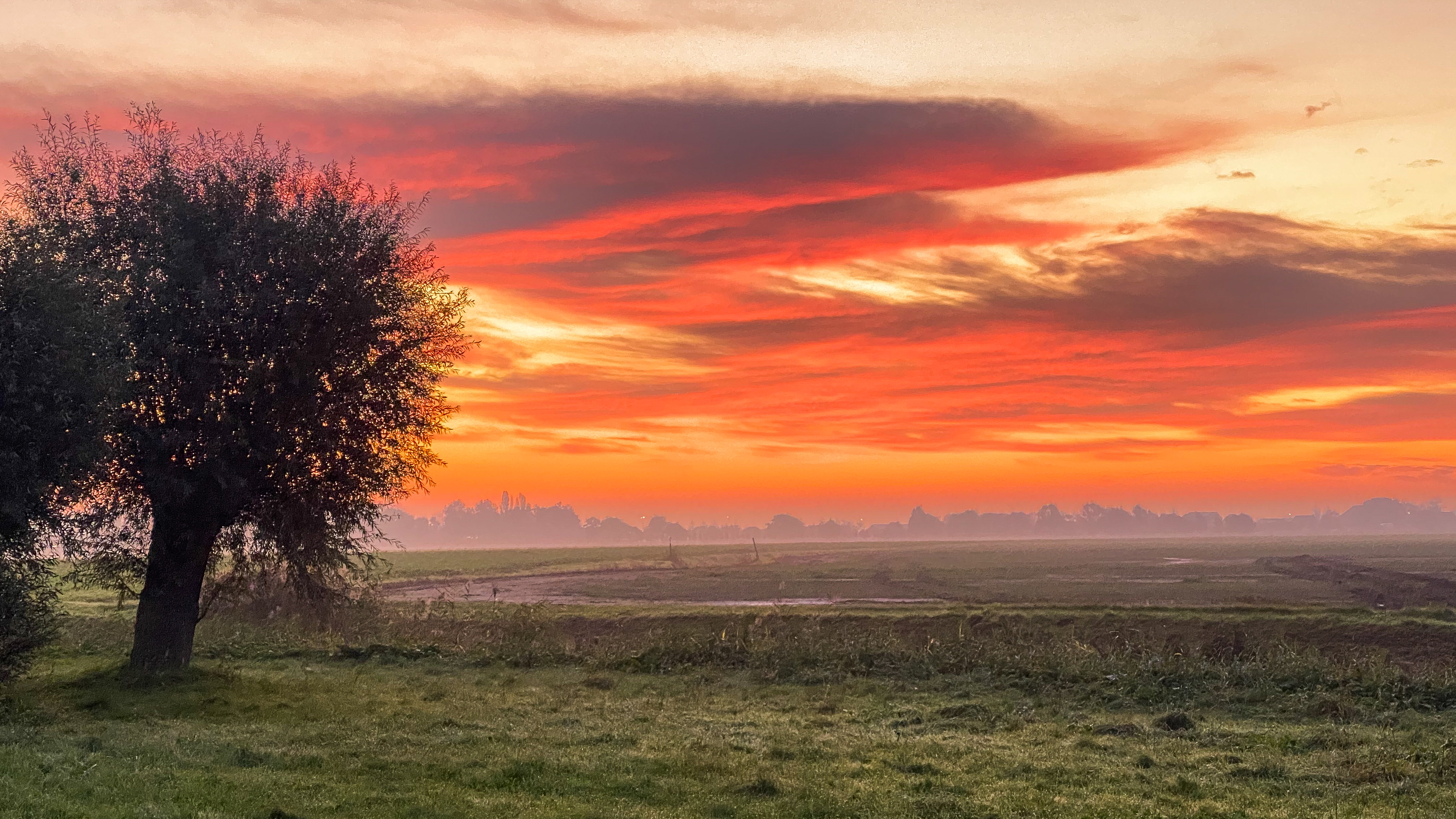 vurige-zonsopkomst-in-de-polder