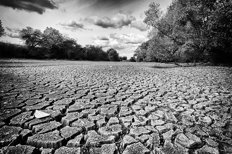 extreme-droogte-zomer-2018