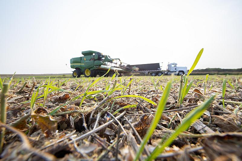 cargill-moderniseert-productie-met-private-5g-netwerk-van-ntt-data