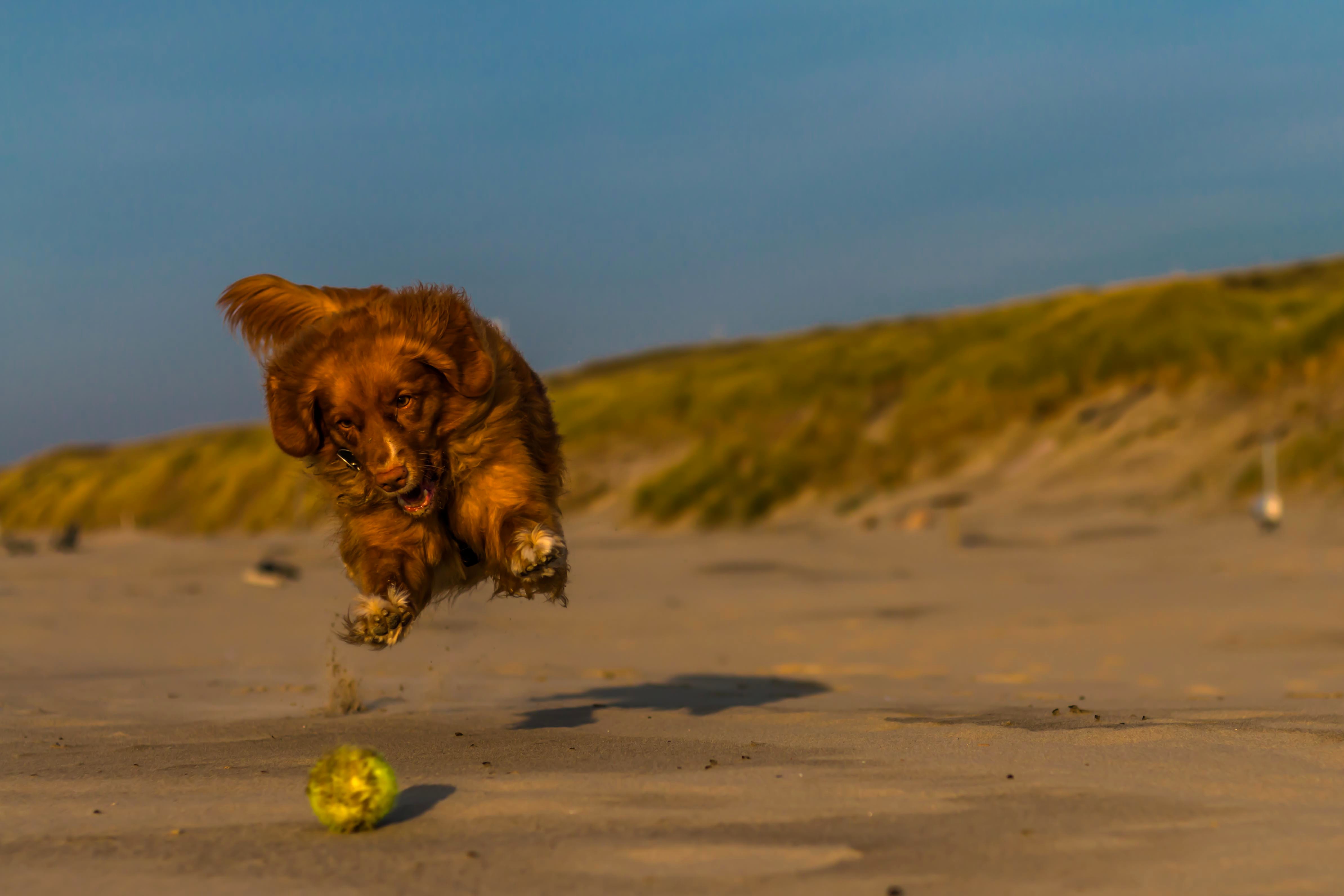 fun-and-action-on-the-beach
