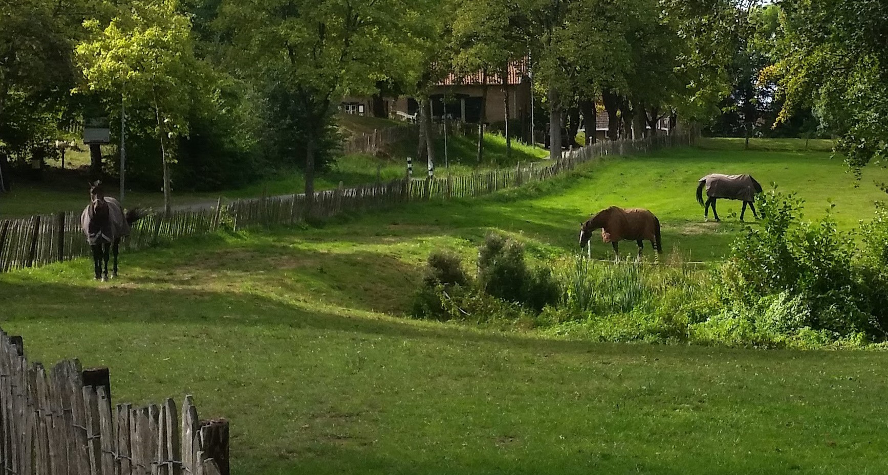 detailfoto-van-tervoortnuth-gemeente-beekdealen