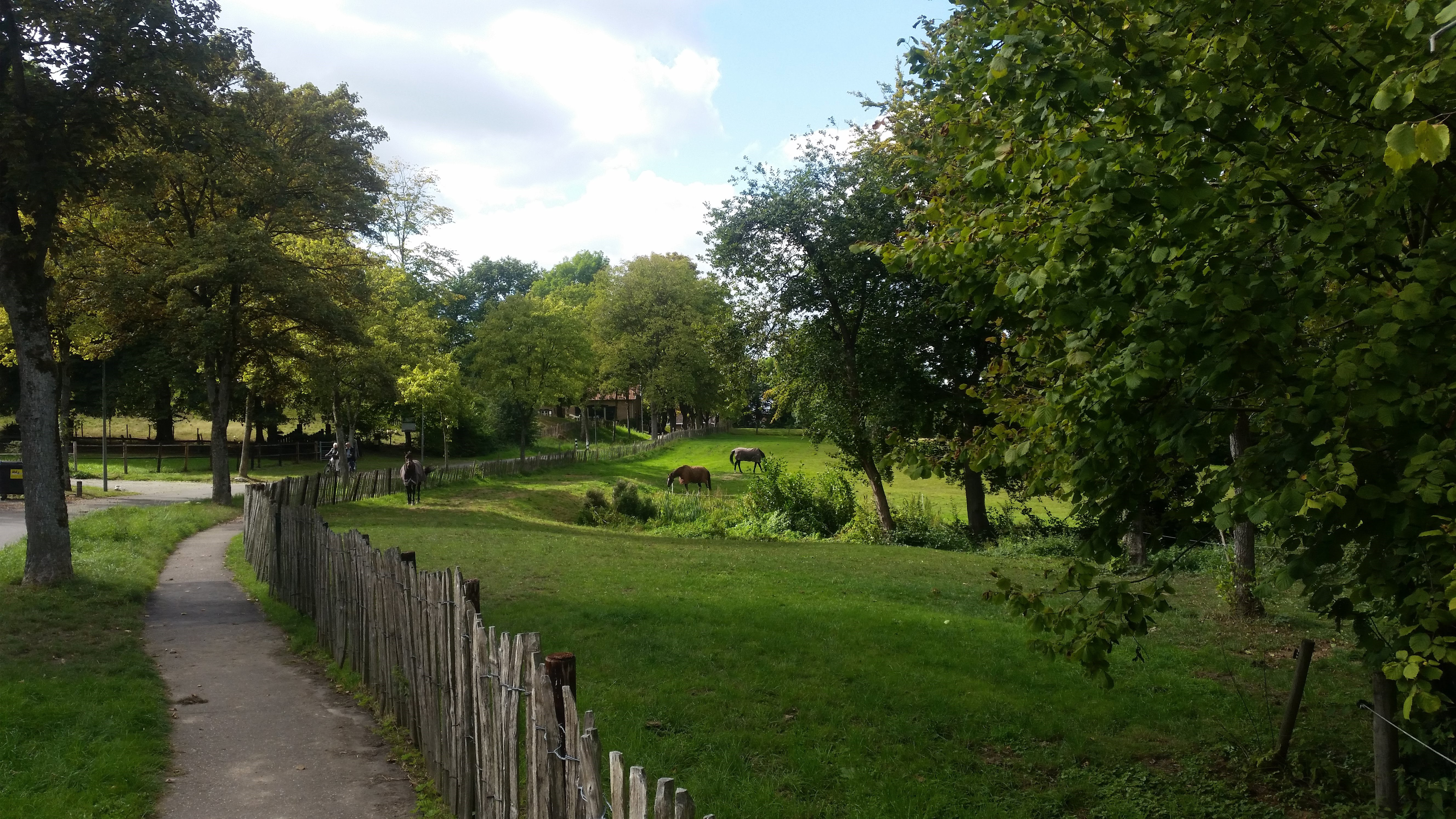 tervoort-nuthgemeente-beekdaelen