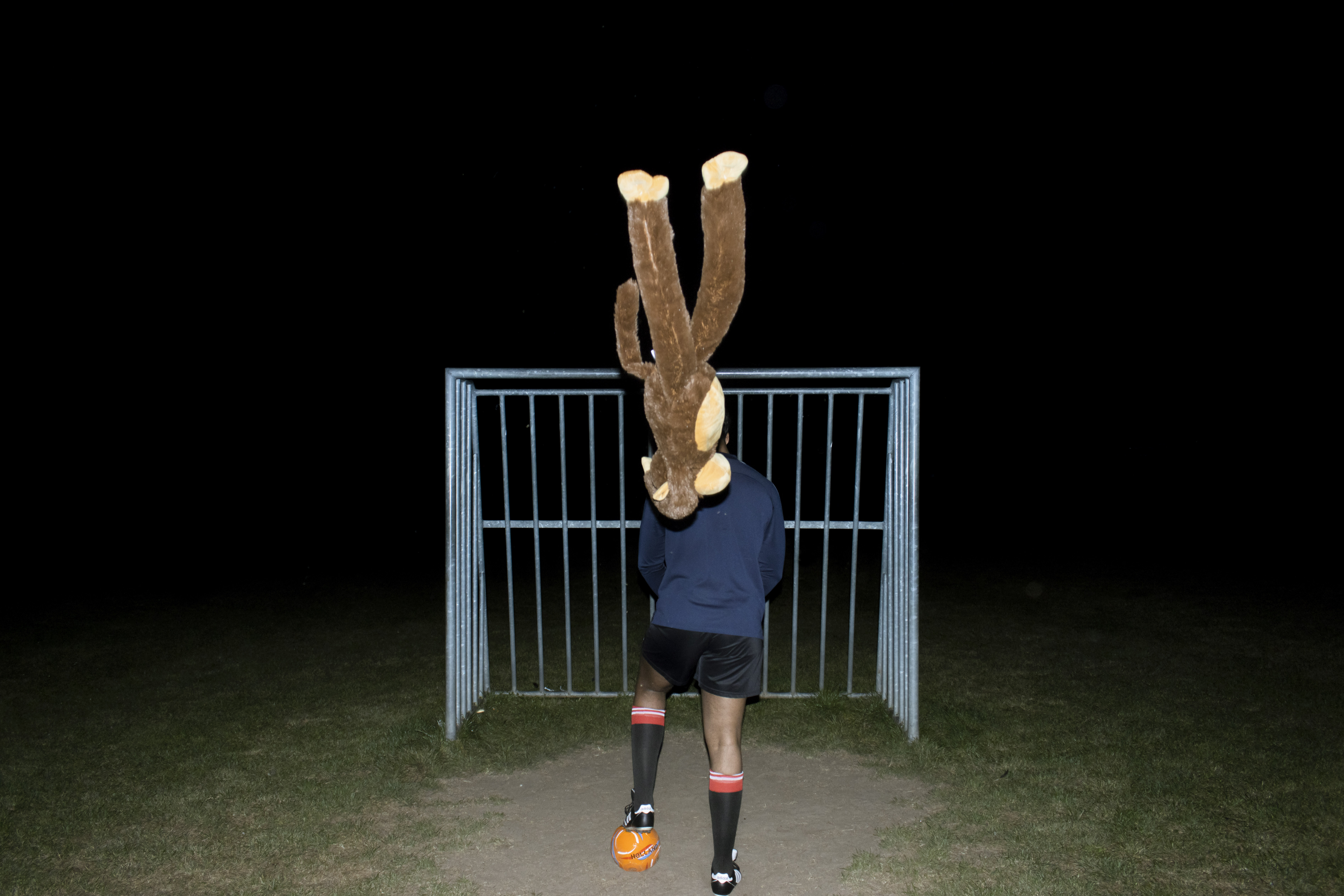 a-white-gaze-at-the-field