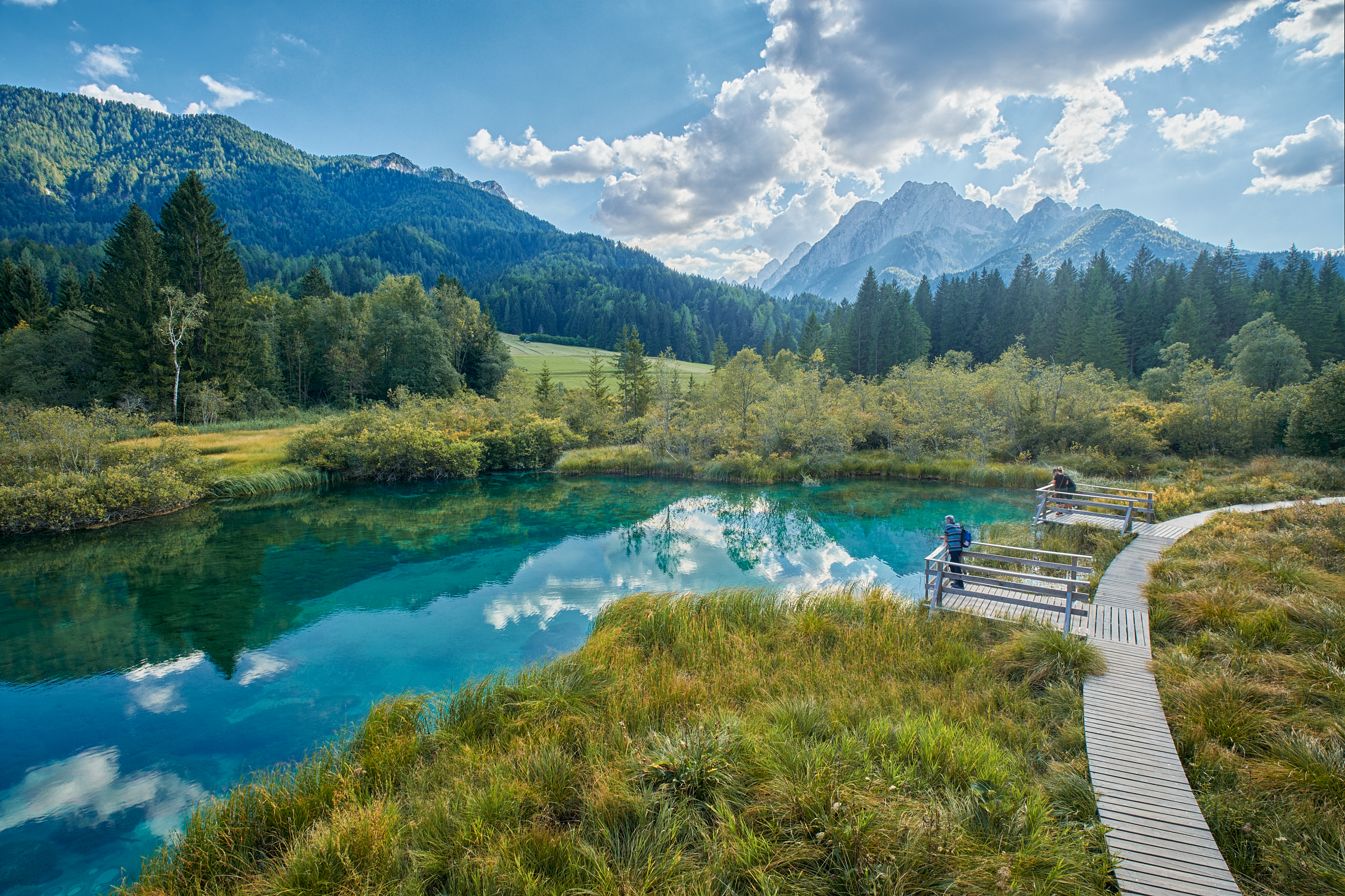 zelenci-nature-reserve-kranjska-gora