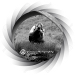 portret-met-rood-licht