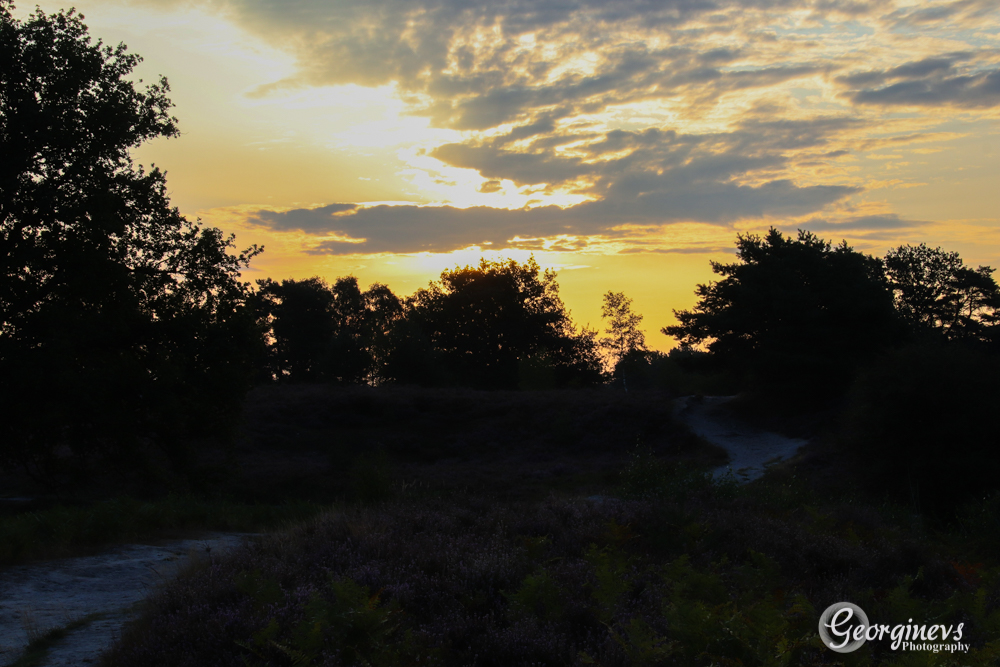 brunssummerheide-net-na-zonsopkomst