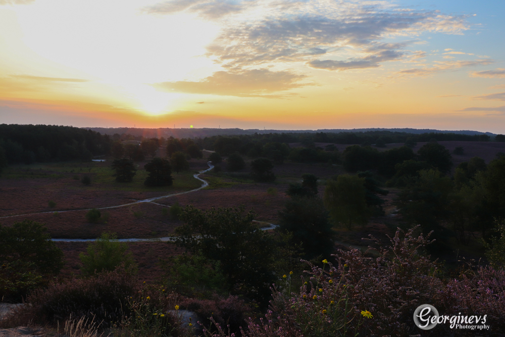 brunssummerheide-bij-zonsopkomst