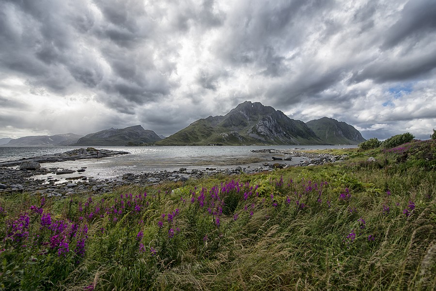 de-lofoten