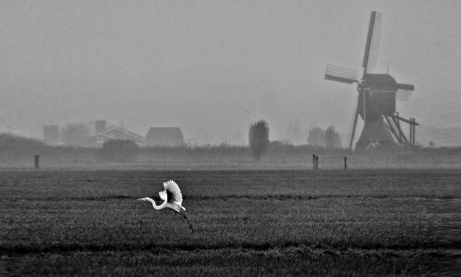 winters-landschap-met-molen-en-zilverreiger