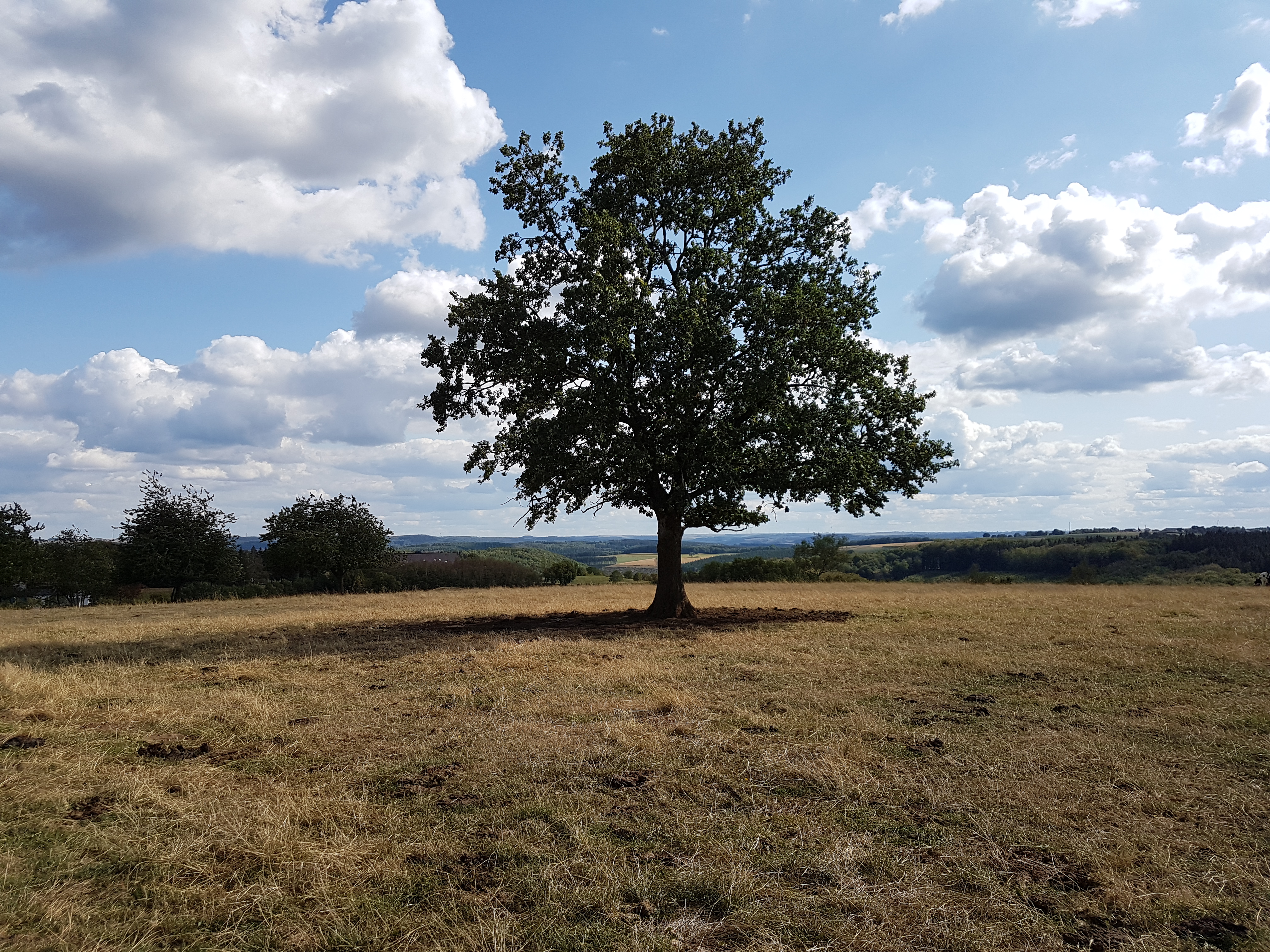 belgi%C3%AB-landschap