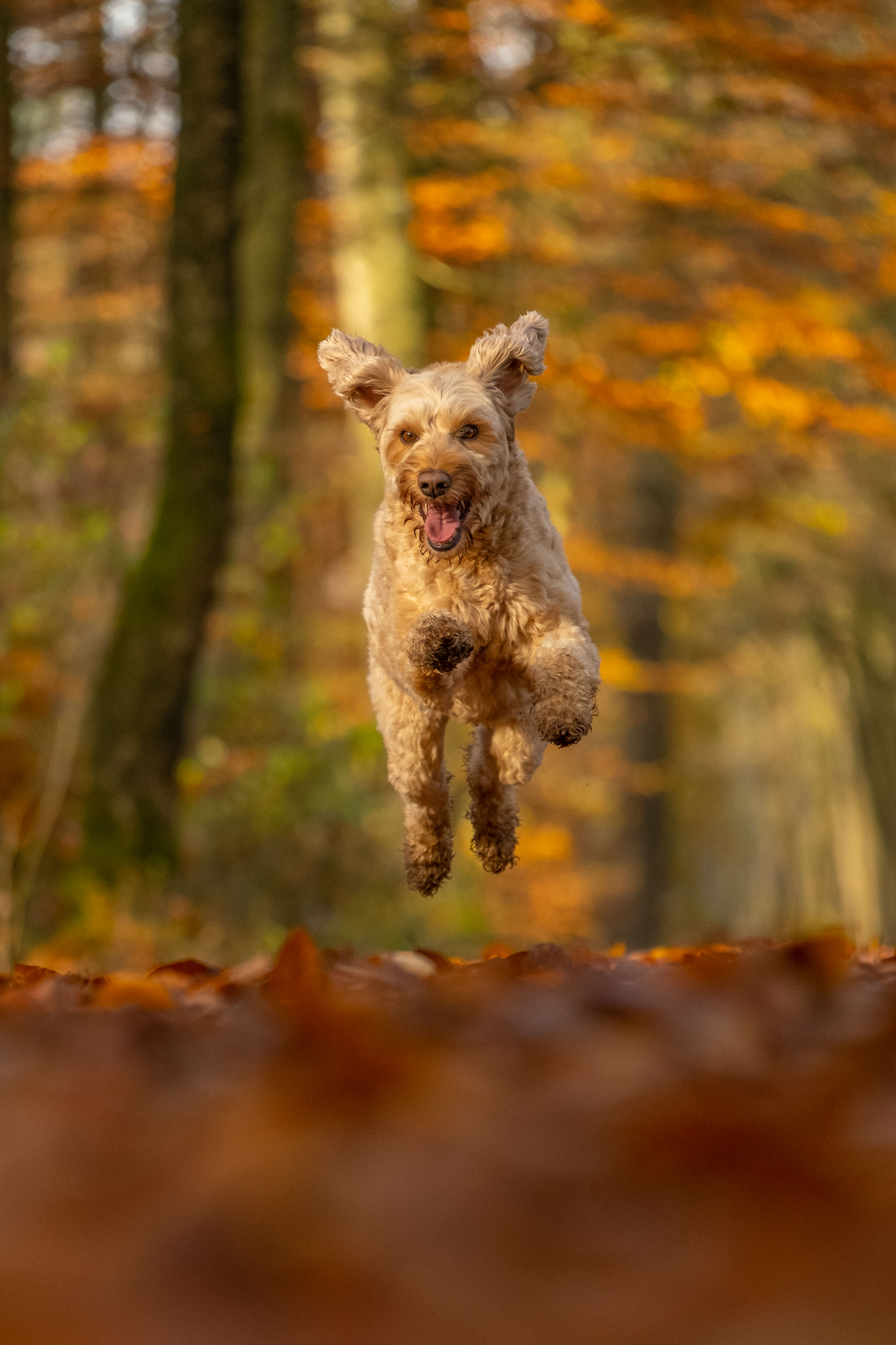 genieten-van-de-herfst