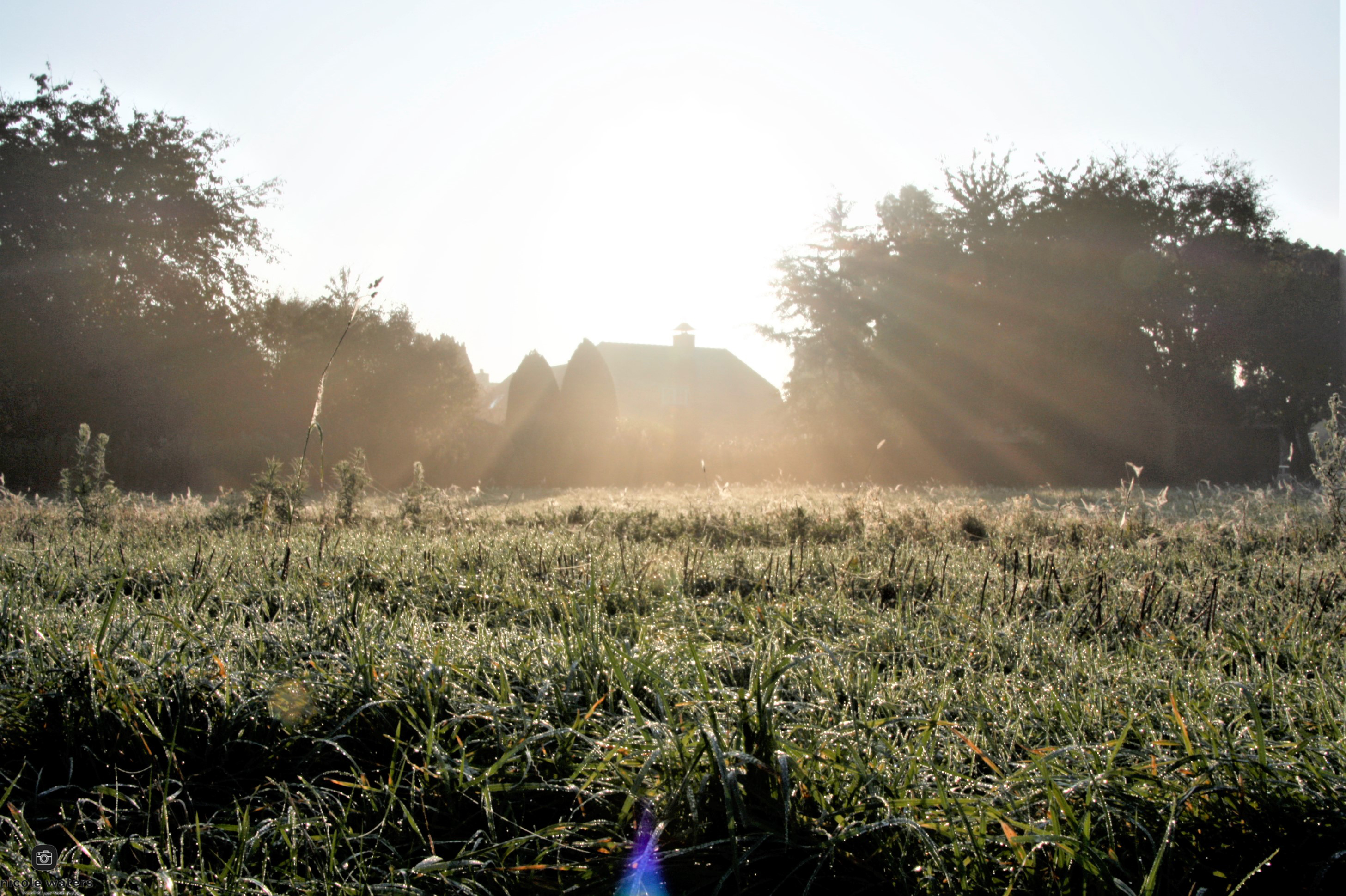 mooie-najaars-tafereeltje