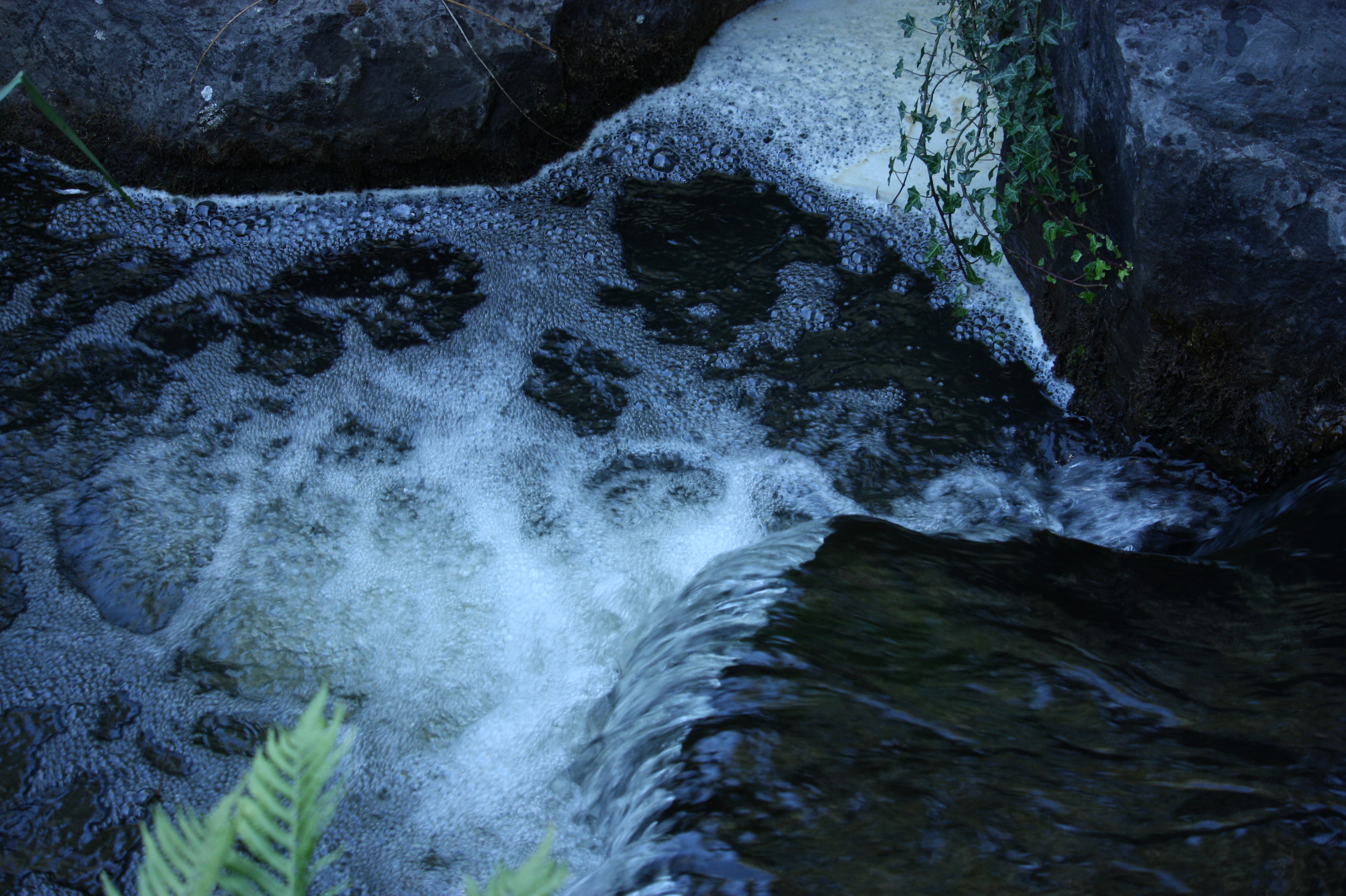 mooi-water-poeltje-in-kasteeltuin-arcen