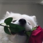 it-comes-and-goes-in-waves