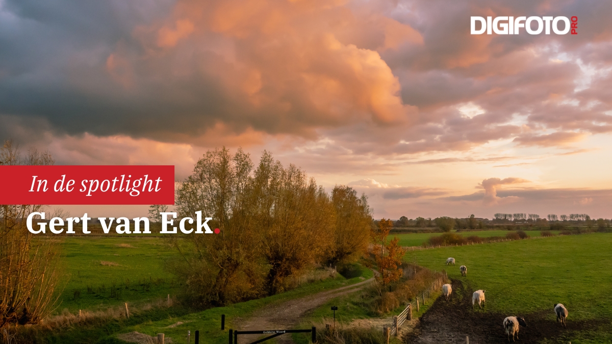 spotlight-van-de-week-48-digifoto-pro-gallery-0