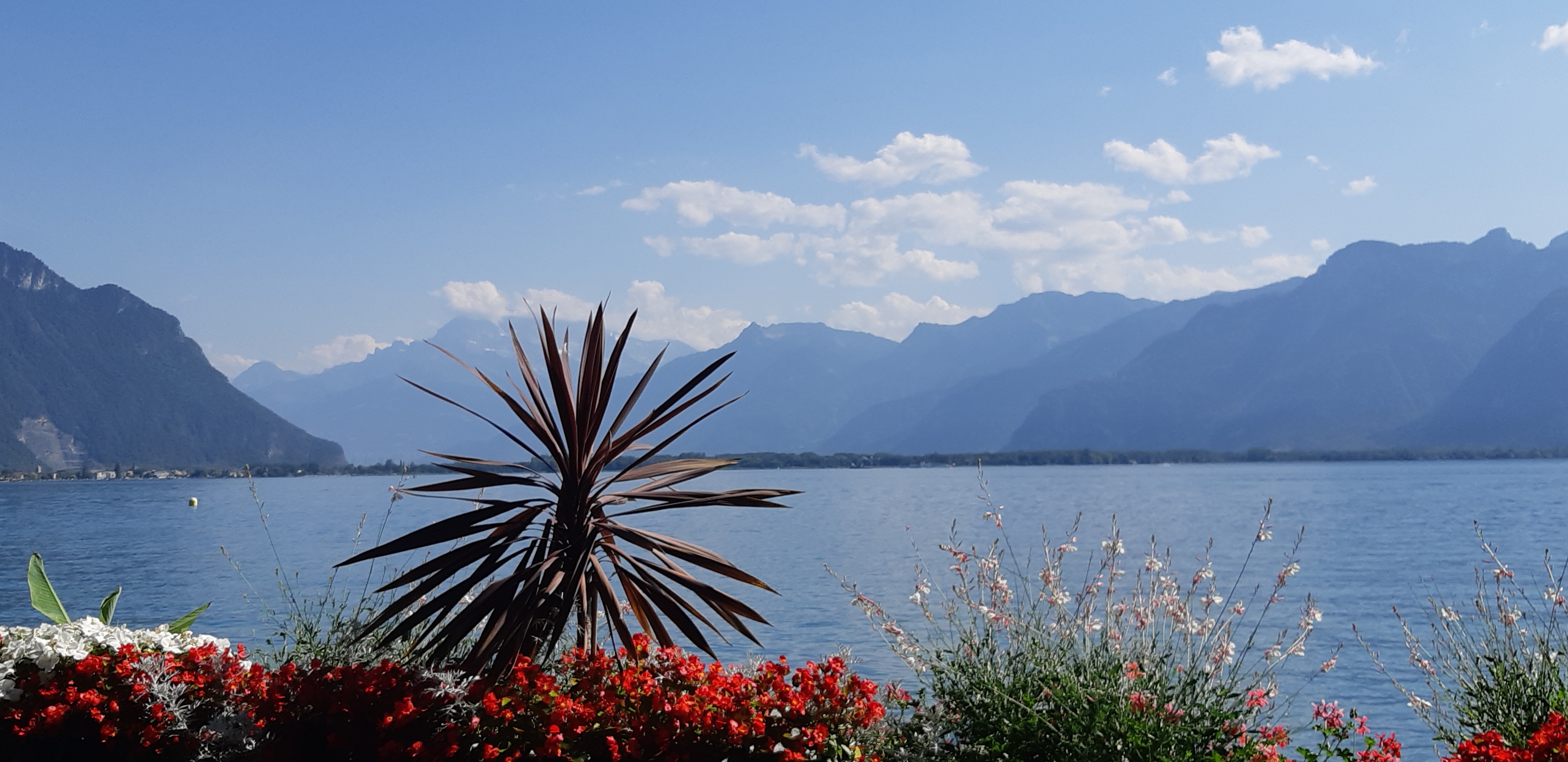 zomer-en-vakantiekriebels