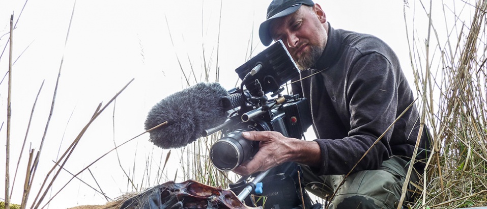 de-nieuwe-wildernis-nederlandse-natuurfilm