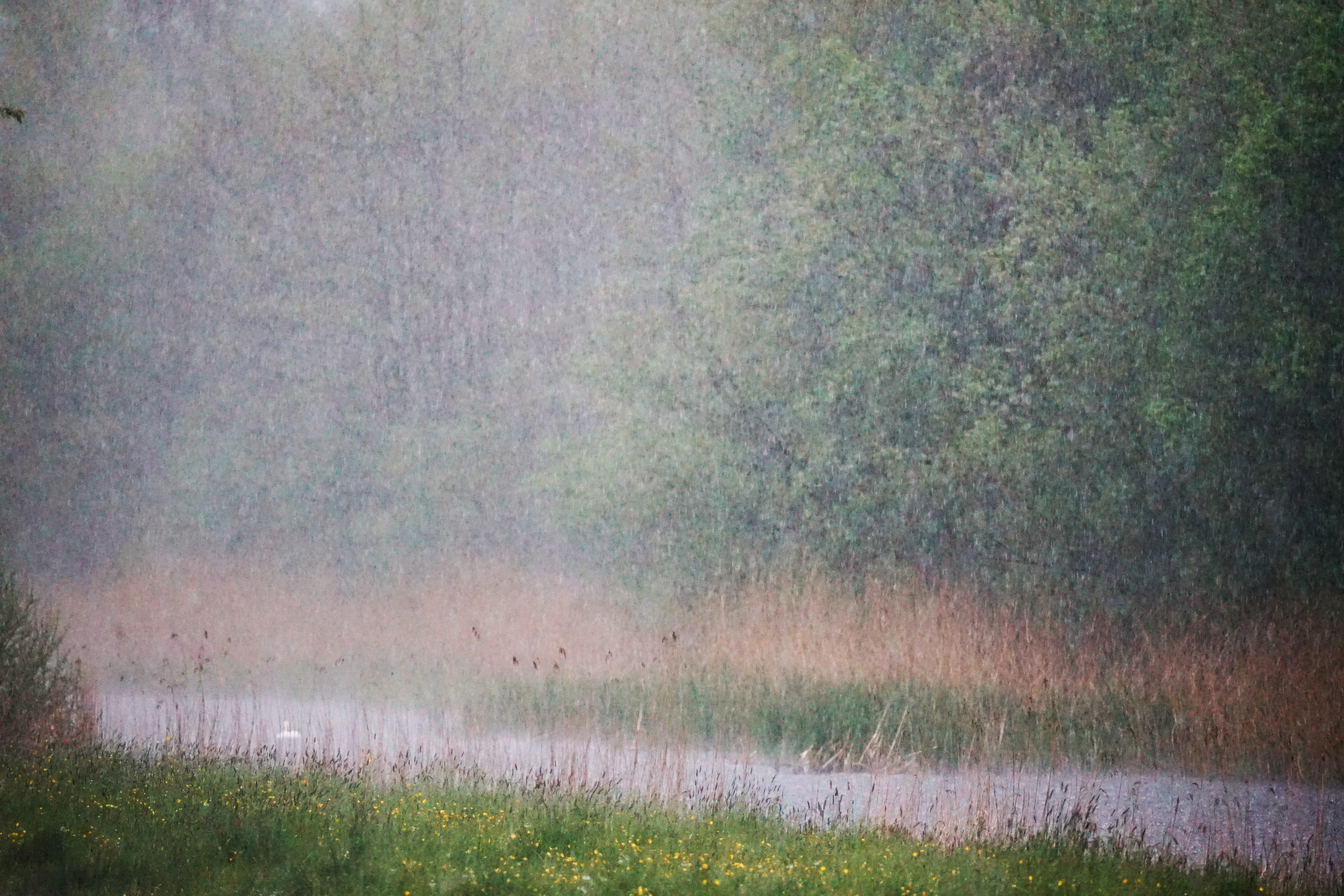 regenachtig-landschap