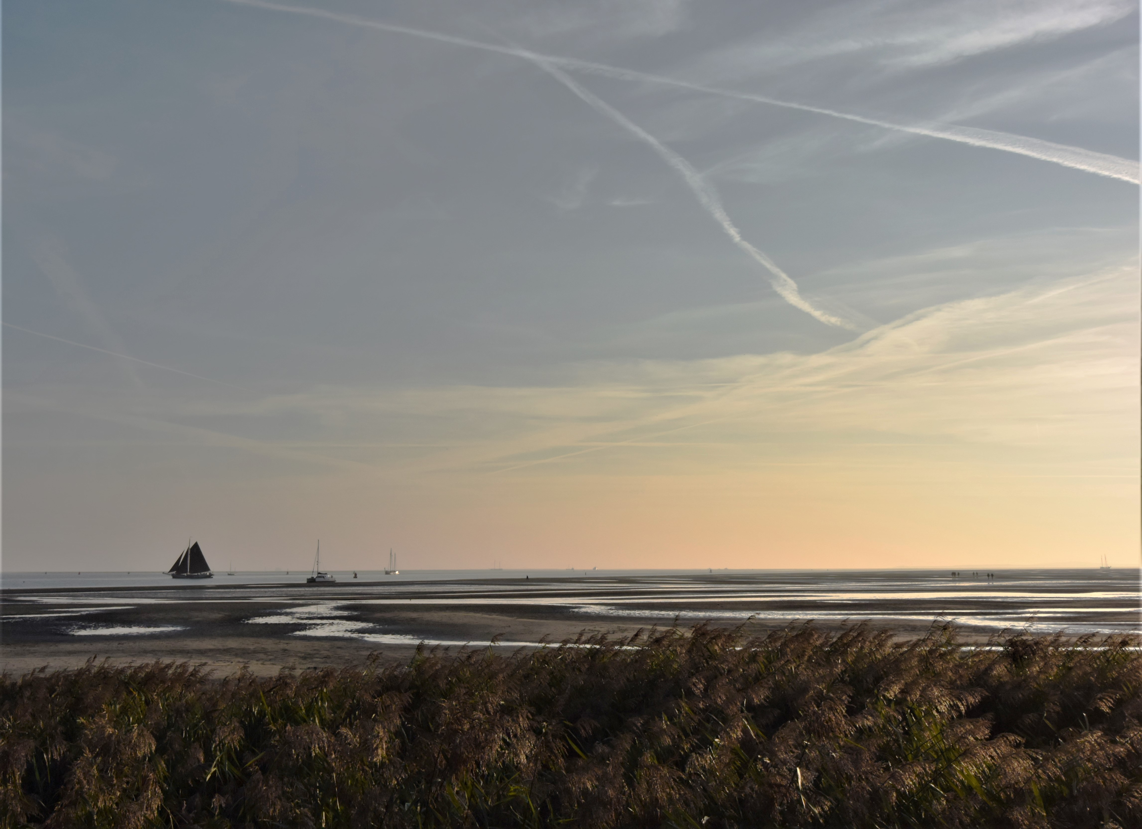 groene-strand-van-terschelling