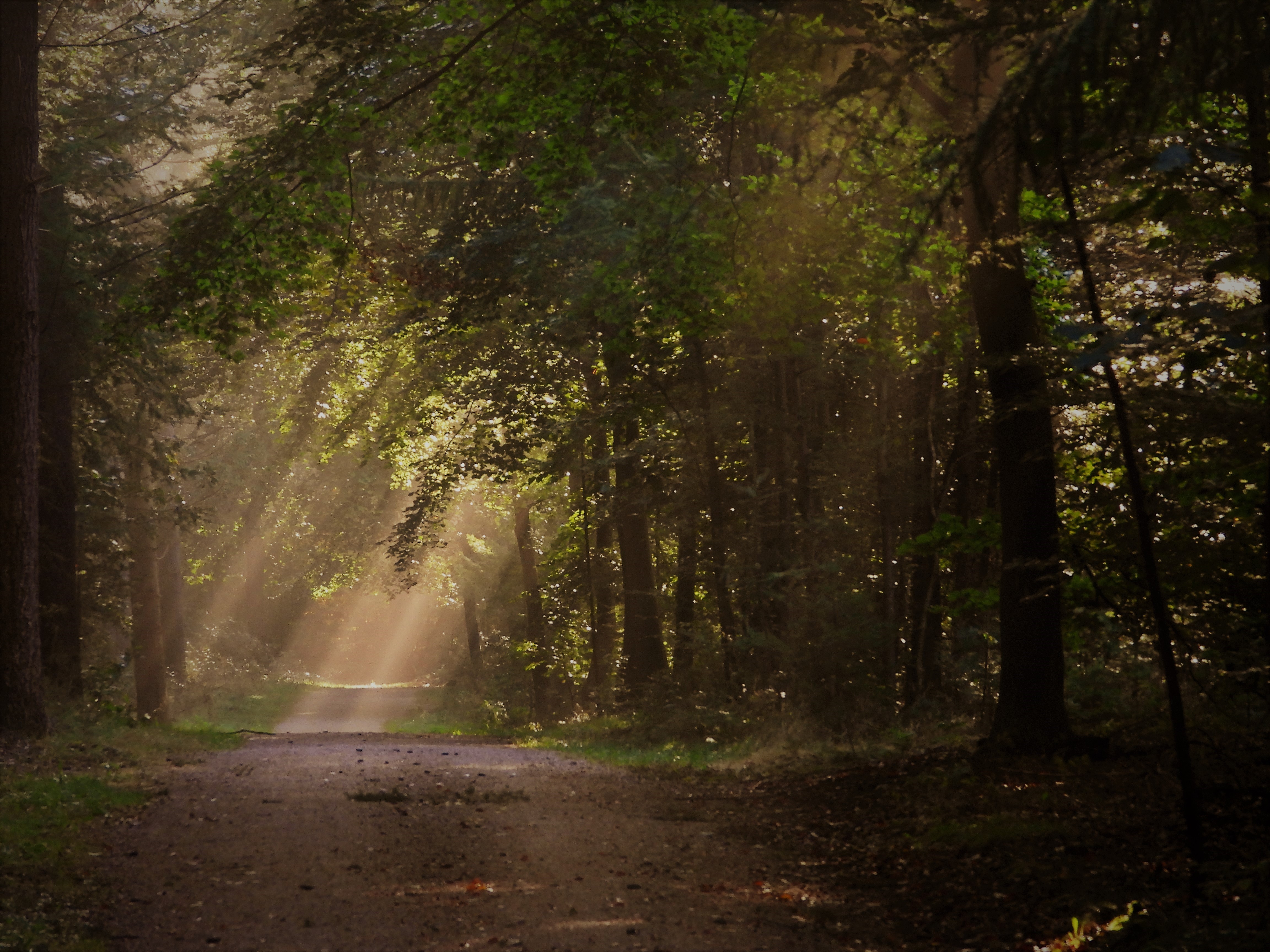 herfst-in-beeld-2021