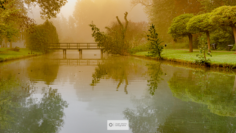 ochtendgloren-in-het-park