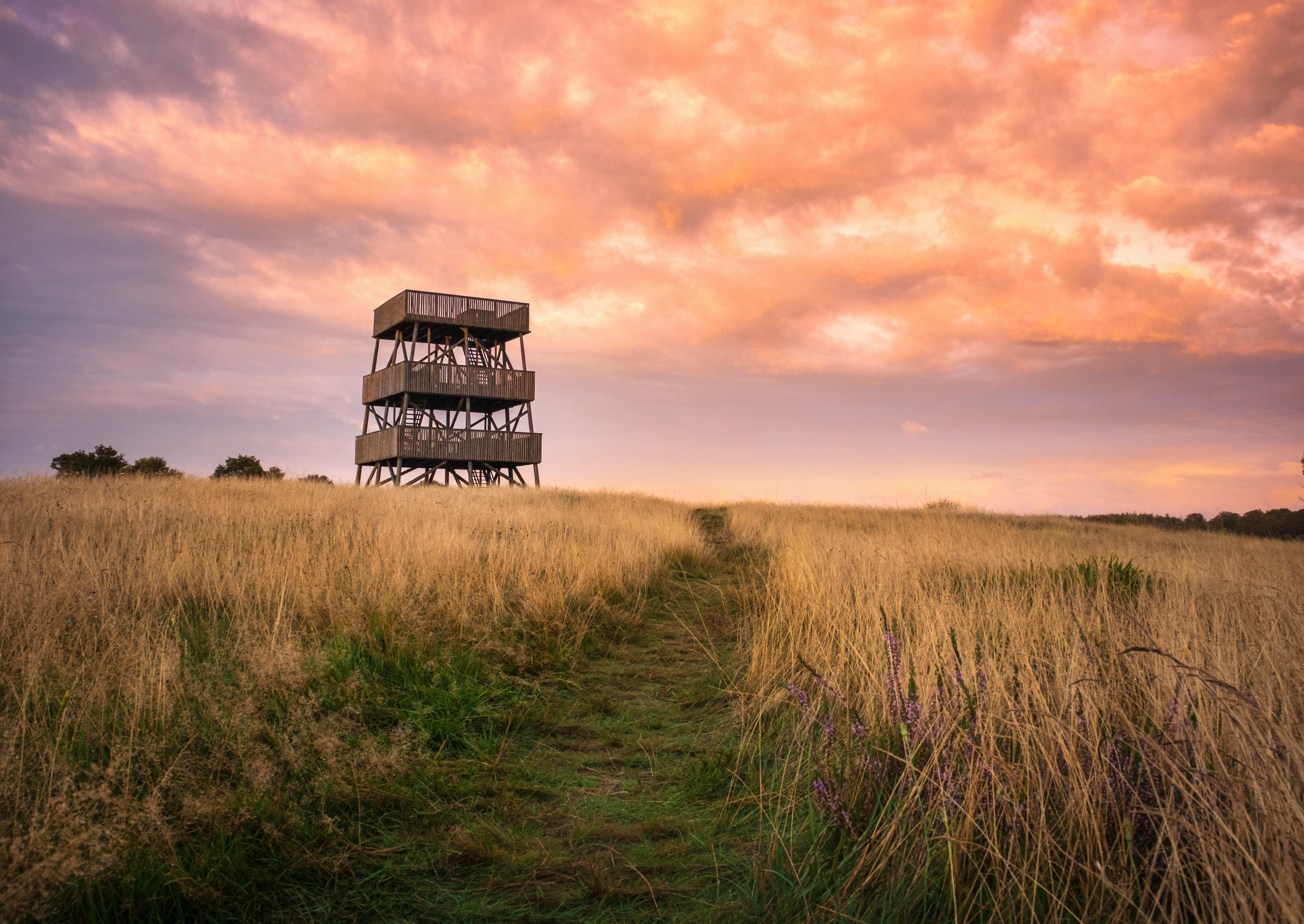 uitkijktoren-kale-duinen