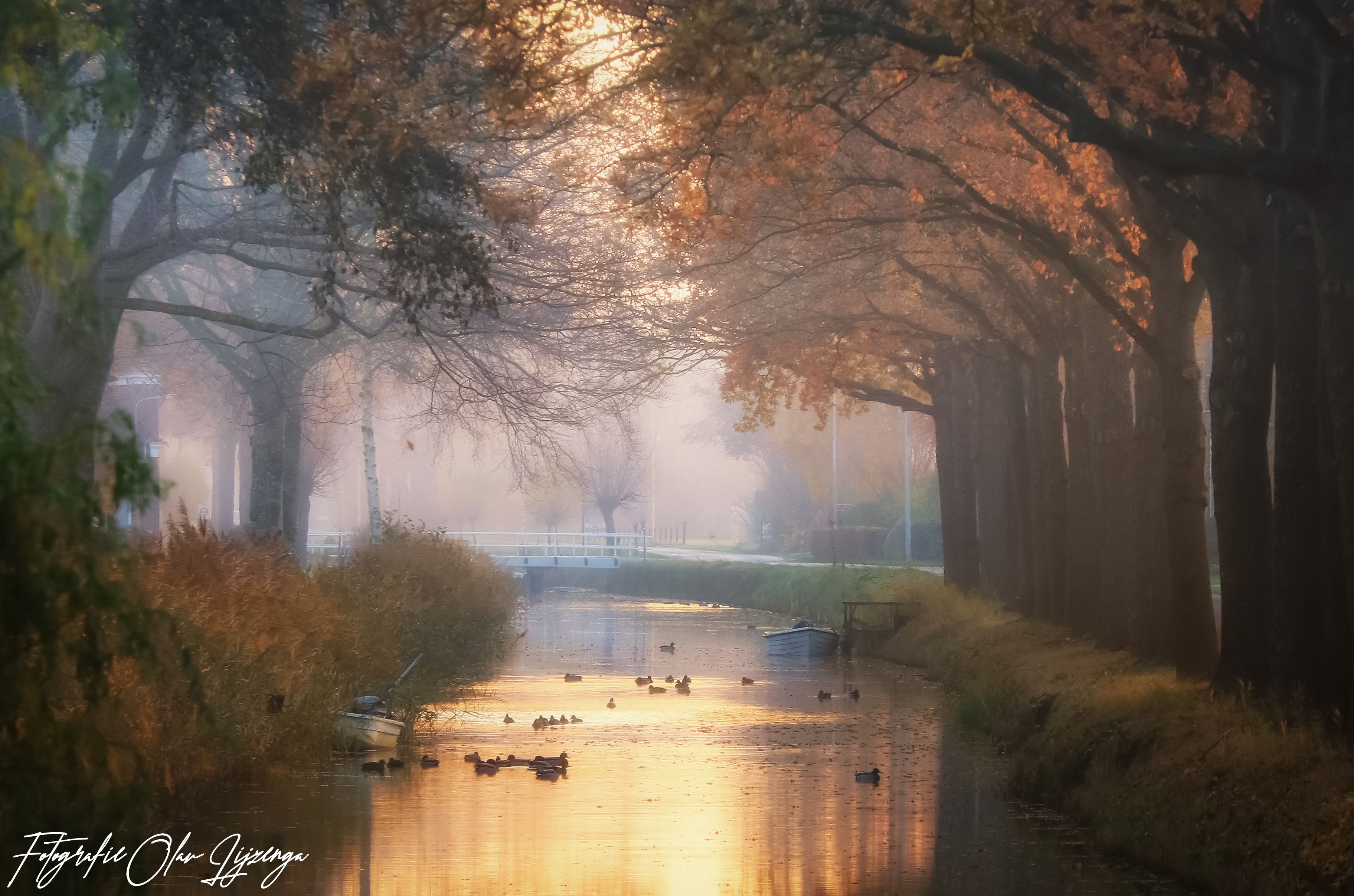 %E2%80%98herfstfoto%E2%80%99