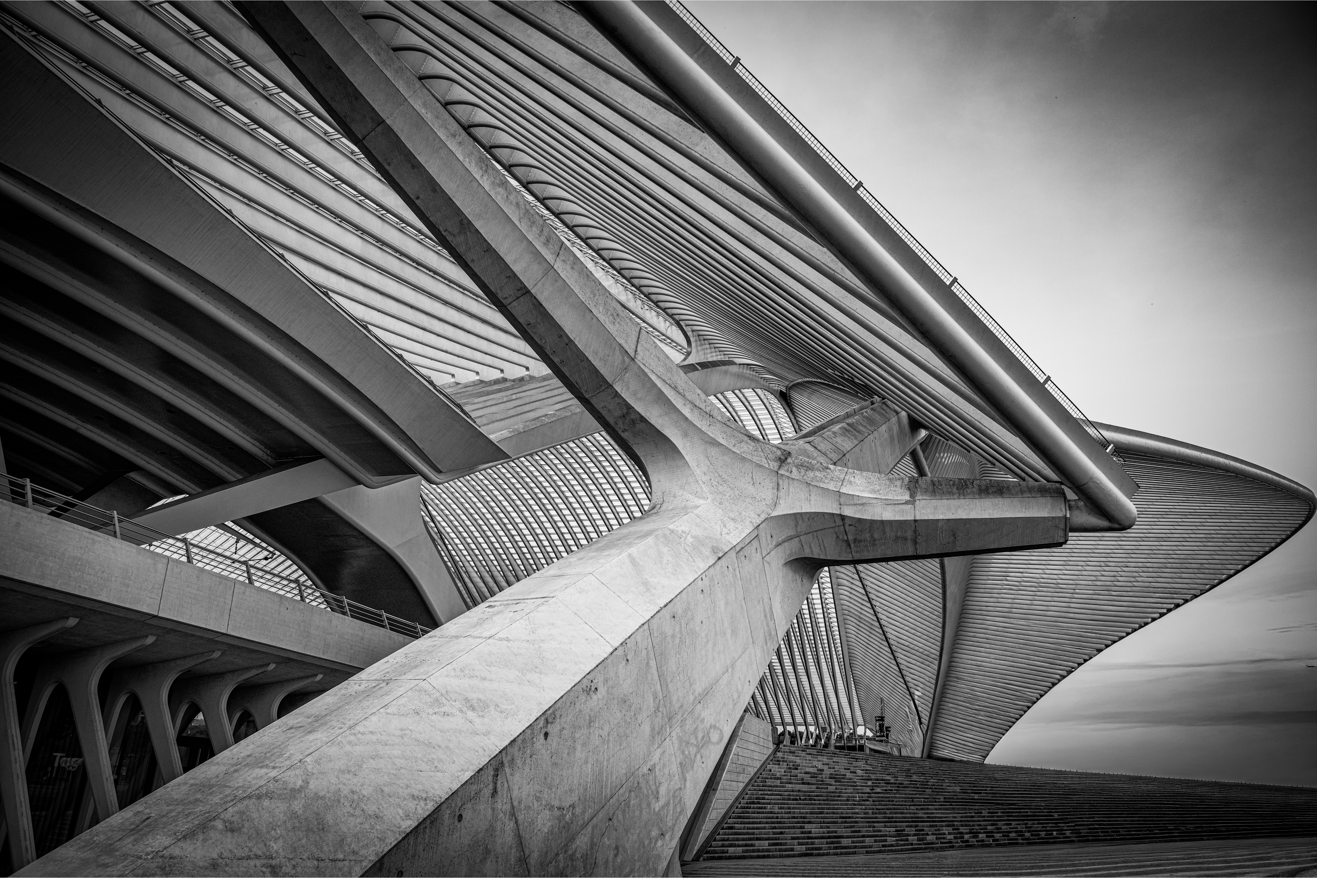 symfonie-van-staal-en-licht