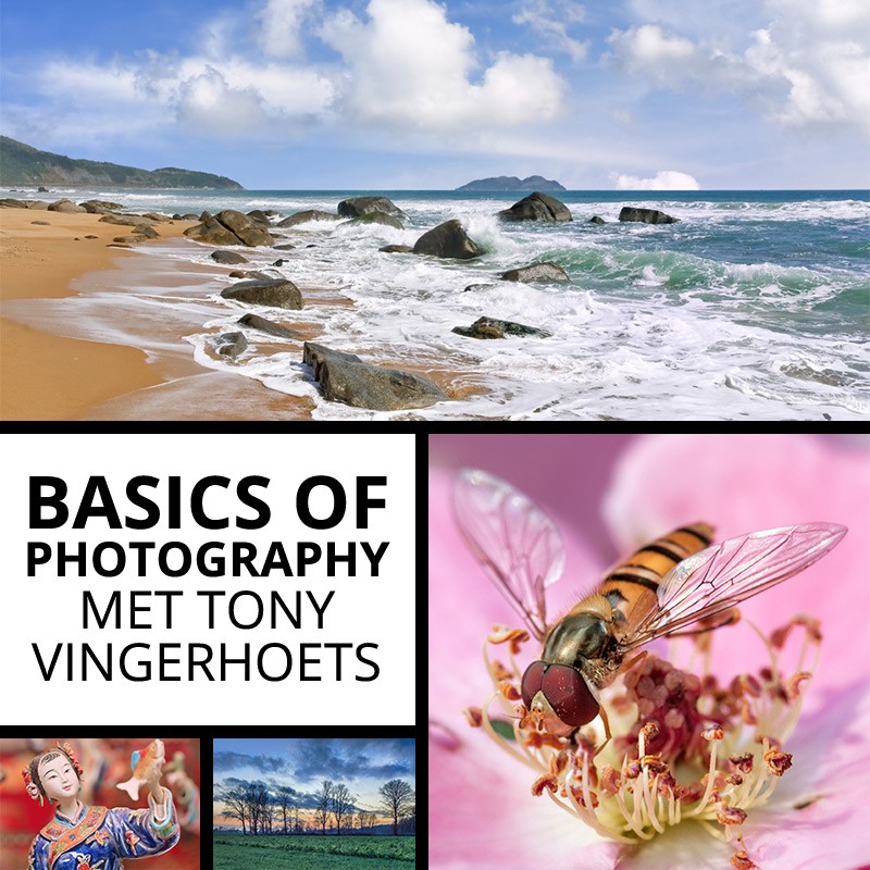 leer-de-basis-van-fotografie-met-deze-workshop