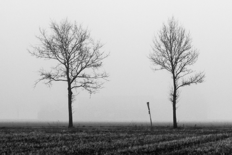 enjoy-dutch-landscape