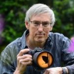 verdwaald-in-het-vingerhoedskruidbos