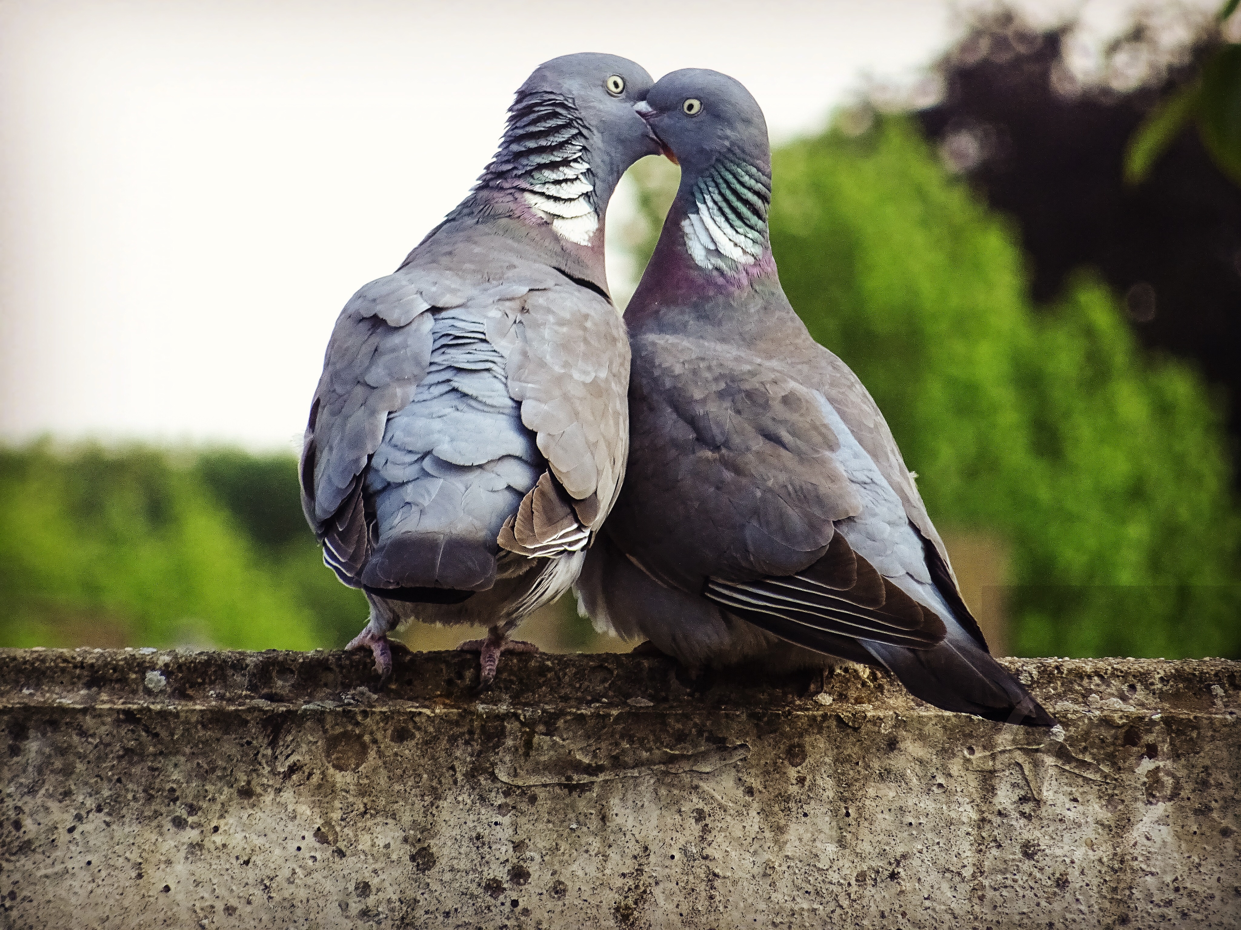 love-%E2%9D%A4%EF%B8%8F