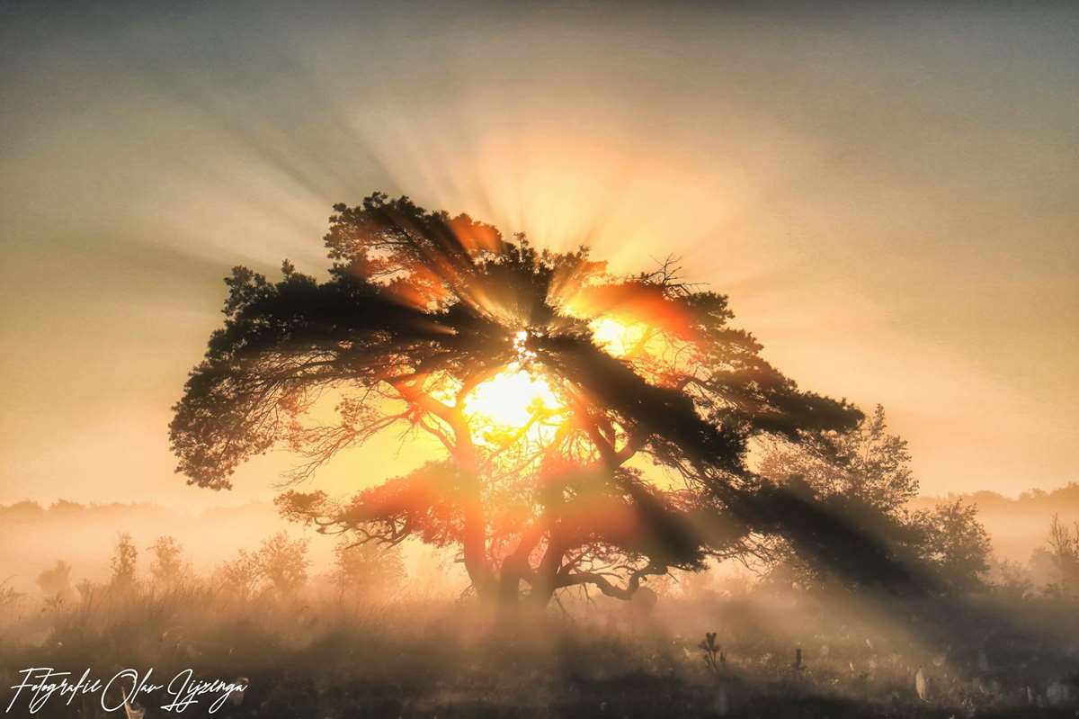 explosieve-zomerse-zonsopkomst