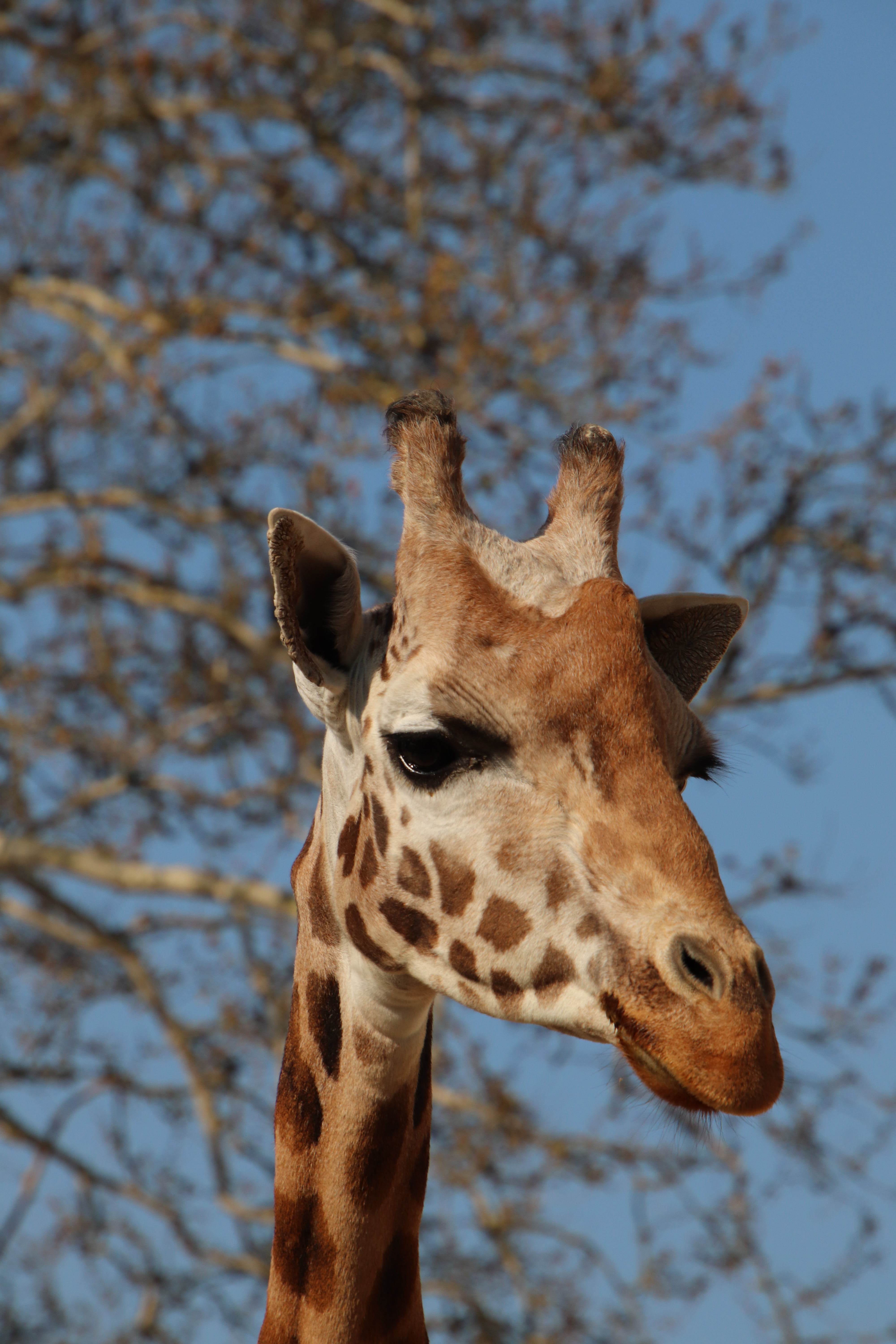 doe-niet-zo-uit-de-hoogte