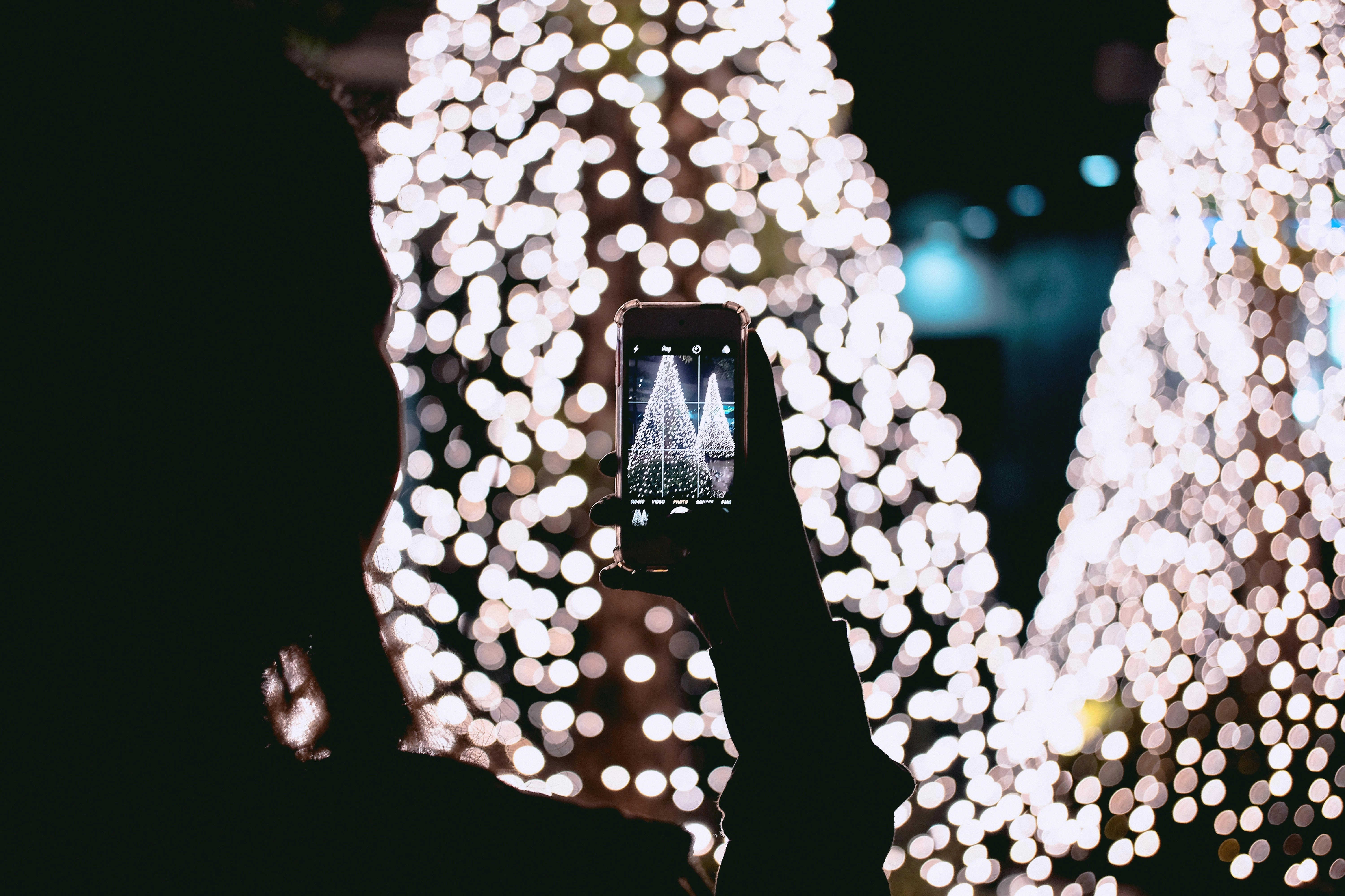 maak-van-jouw-vlaggenmast-een-enorme-kerstboom