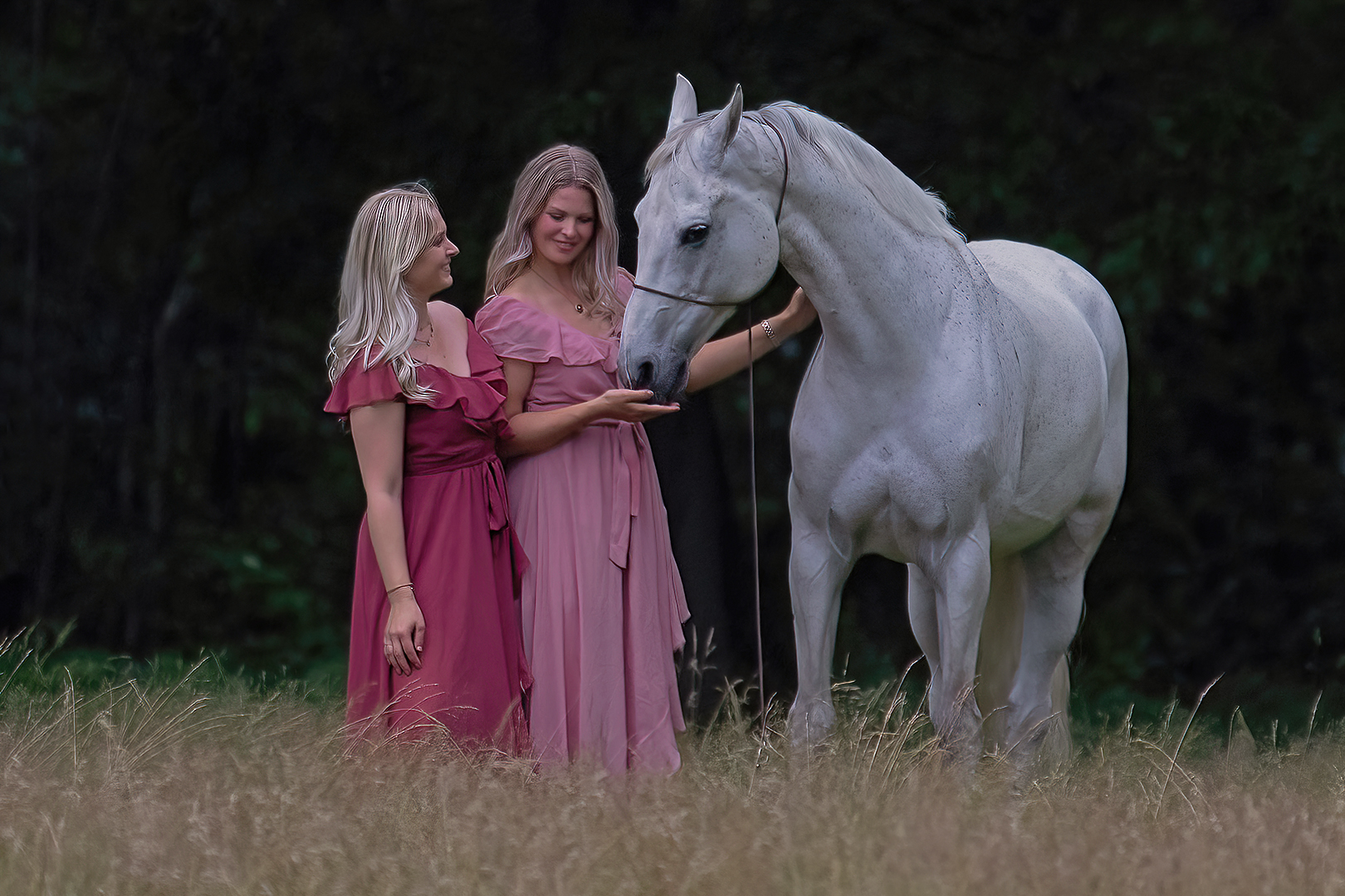 fotofair-modellen-met-paard