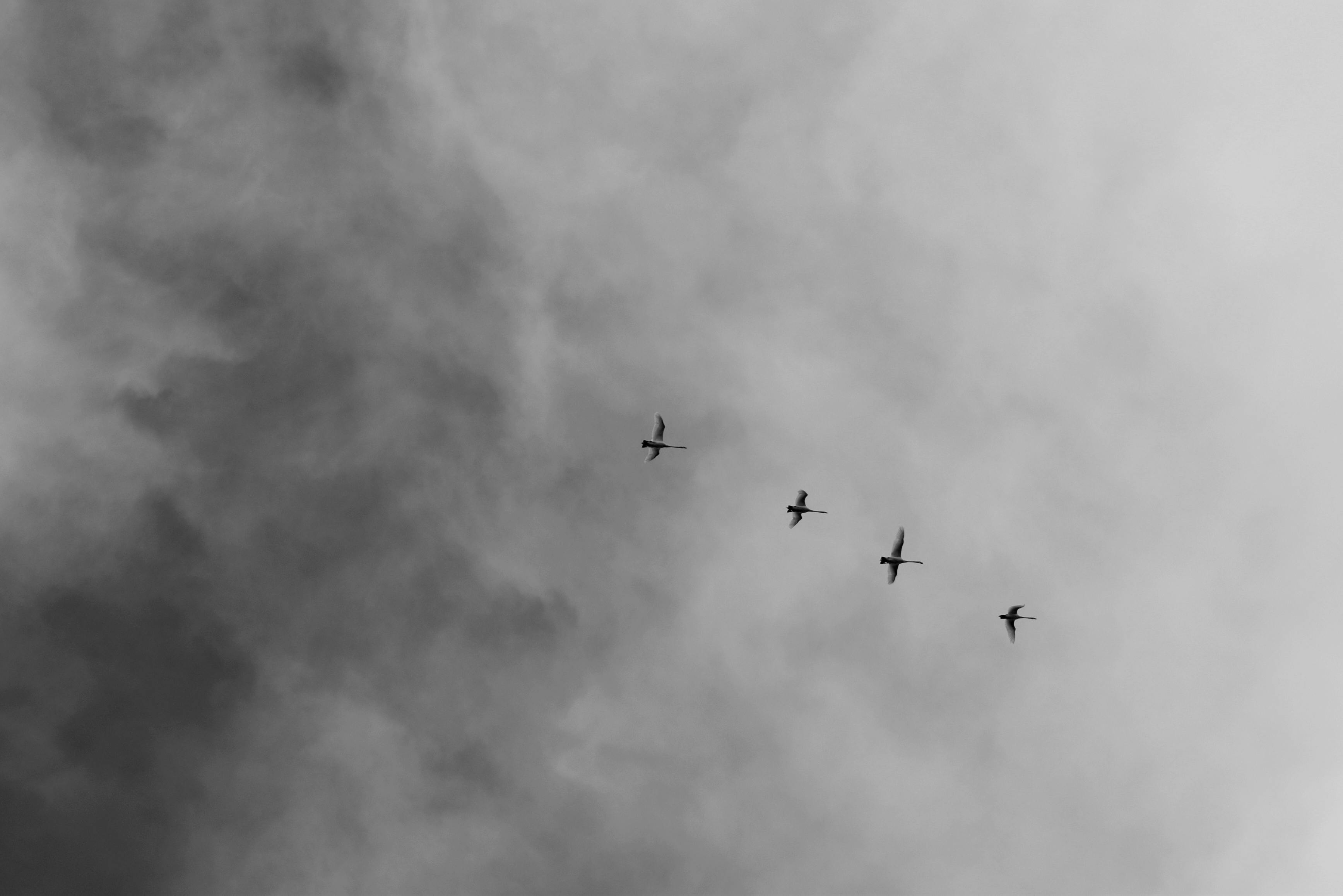 aan-de-slag-met-minimalistische-fotografie