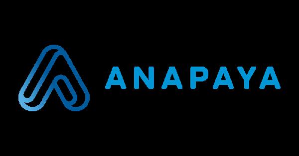 anapaya-en-nl-ix-gaan-samenwerken-om-scion-connectiviteit-uit-te-breiden