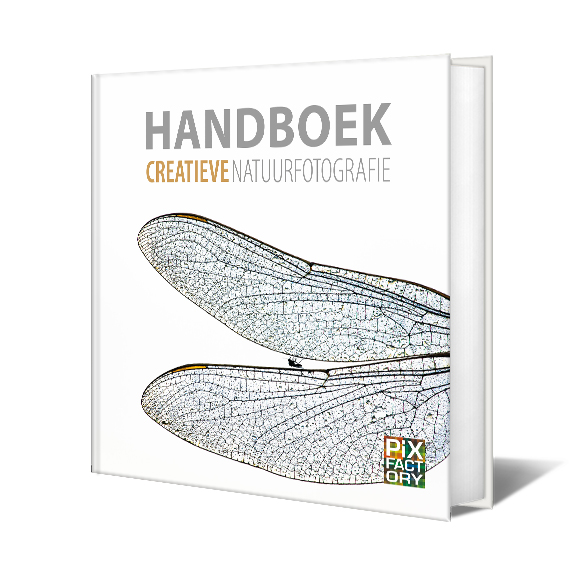 handboek-creatieve-natuurfotografie-geeft-nieuw-perspectief