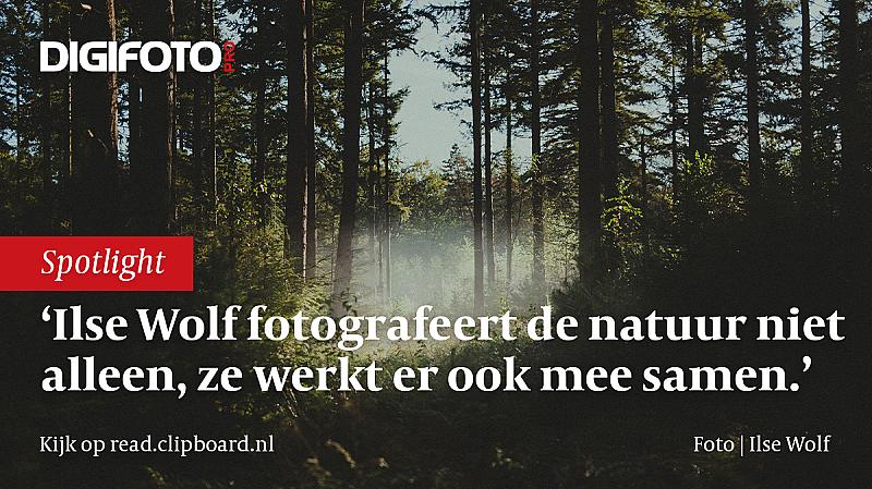 in-de-spotlight-ilse-wolf